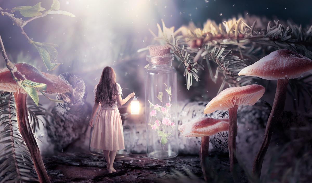 Dodge and Burn in Photoshop: Master Selective Lightening and Darkening