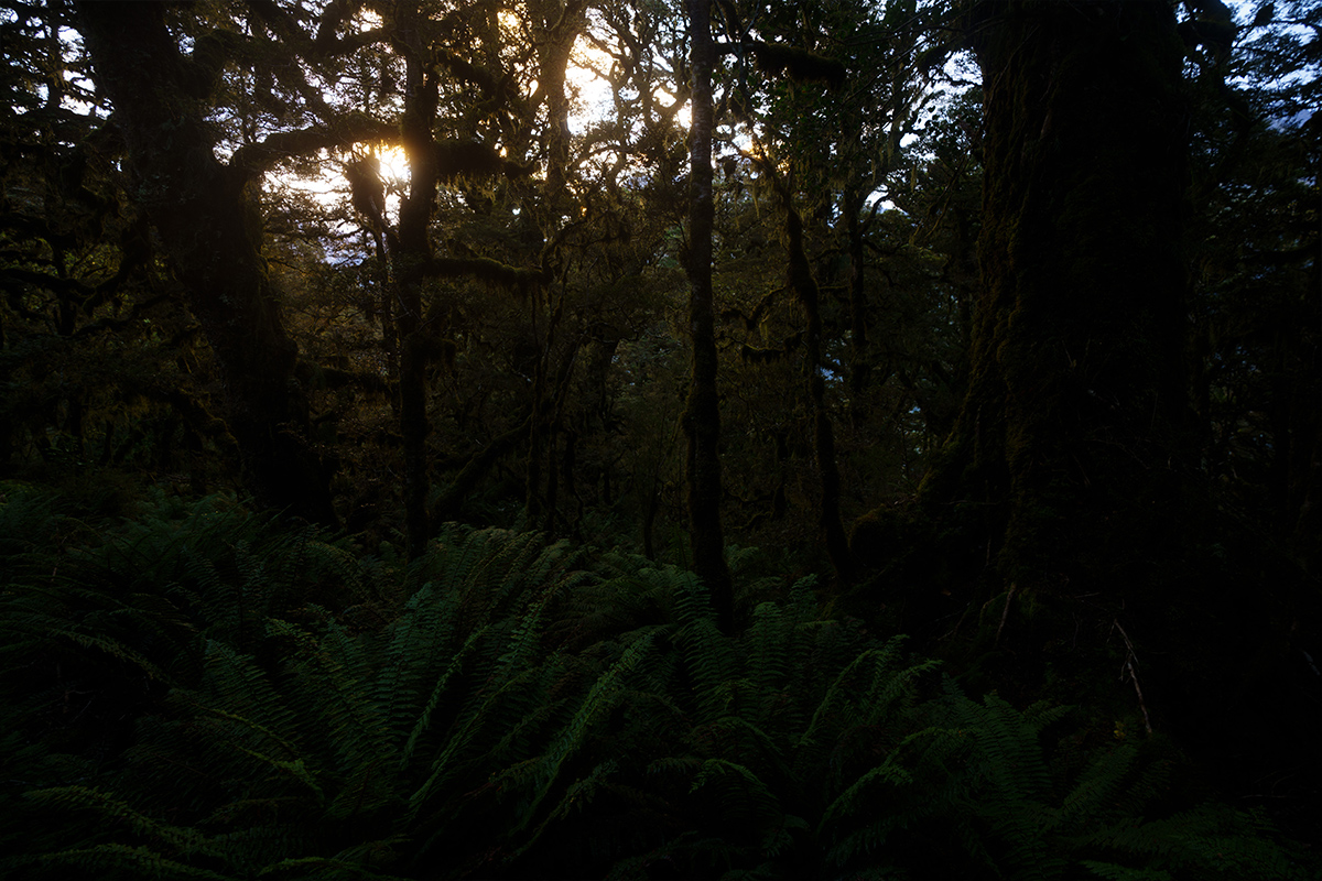 Select Literally Anything in Photoshop